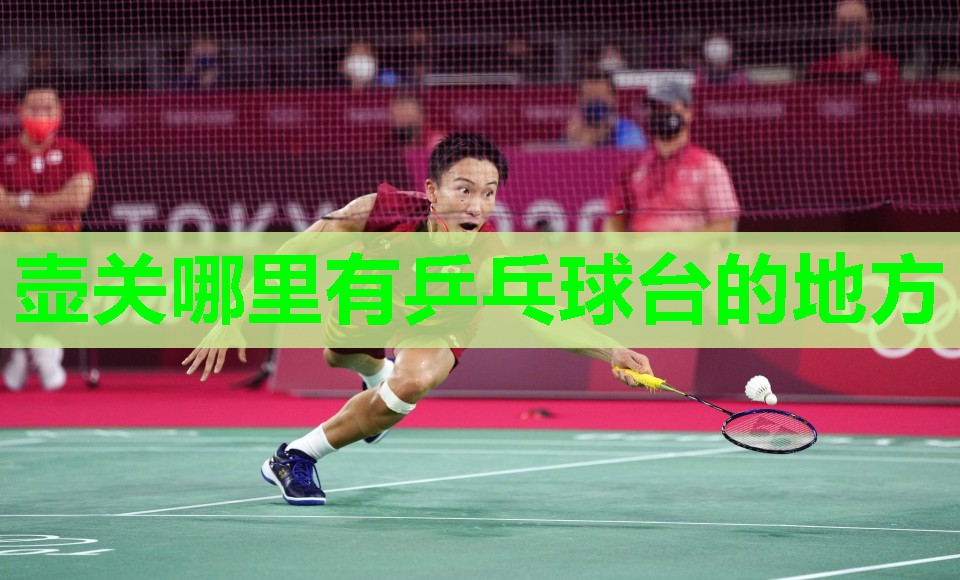 壶关哪里有乒乓球台的地方
