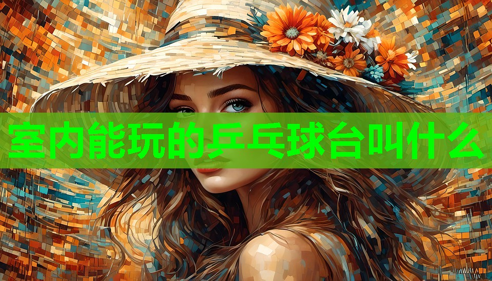 室内能玩的乒乓球台叫什么