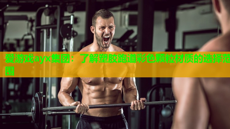 爱游戏ayx集团：了解塑胶跑道彩色颗粒材质的选择范围