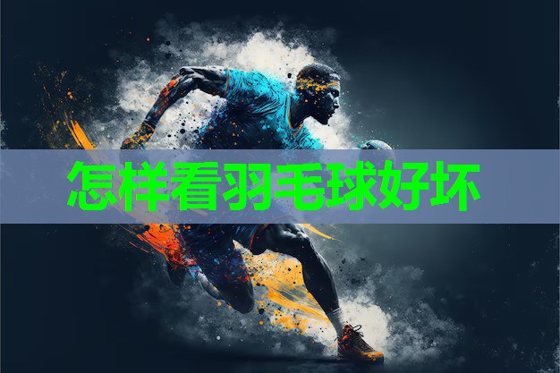 怎样看羽毛球好坏