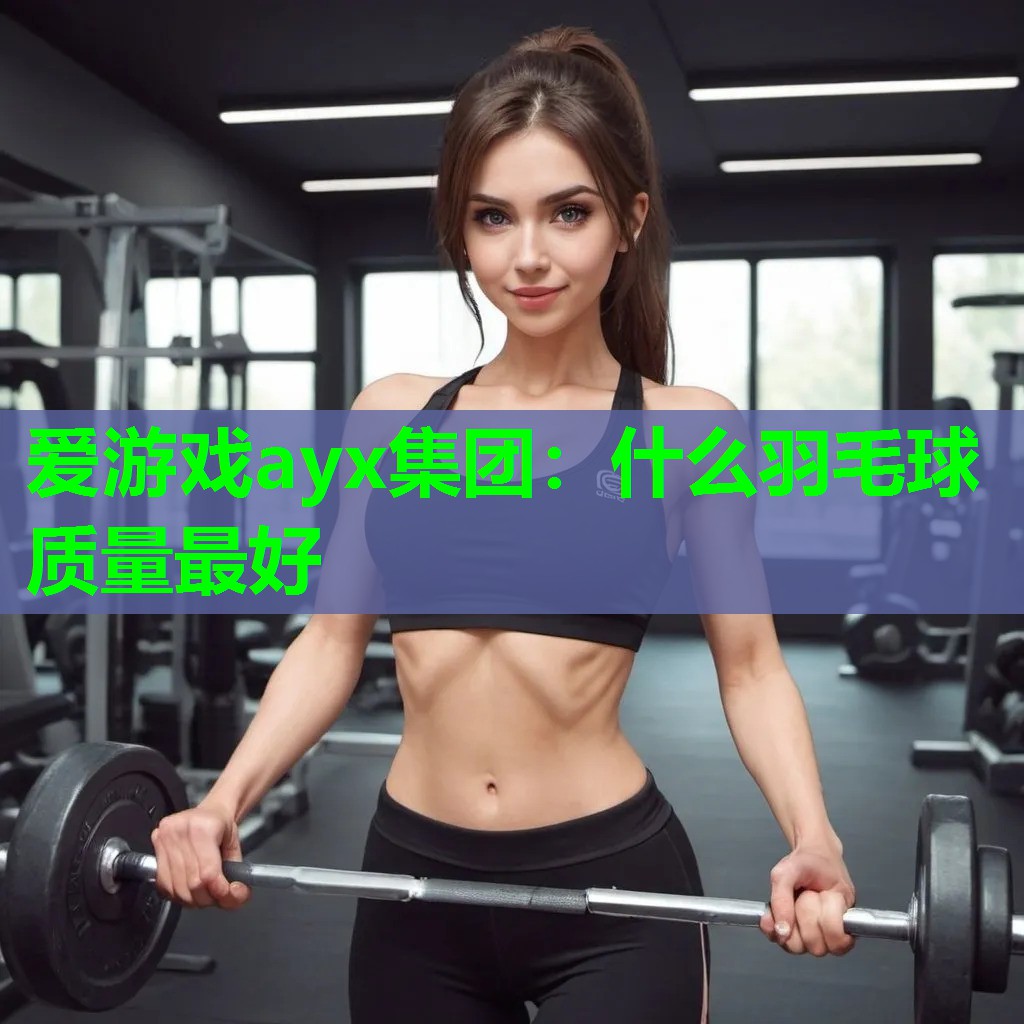 爱游戏ayx集团：什么羽毛球质量最好