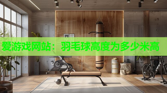爱游戏网站：羽毛球高度为多少米高