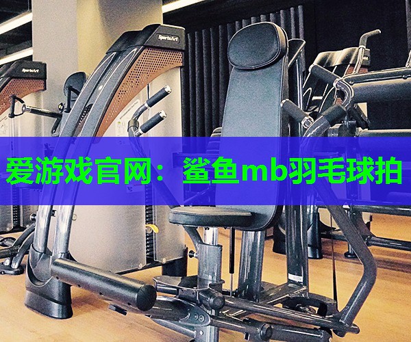 爱游戏官网：鲨鱼mb羽毛球拍