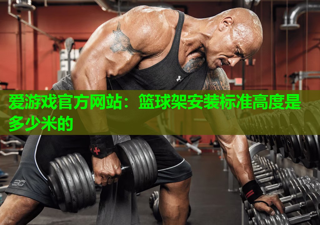 爱游戏官方网站：篮球架安装标准高度是多少米的
