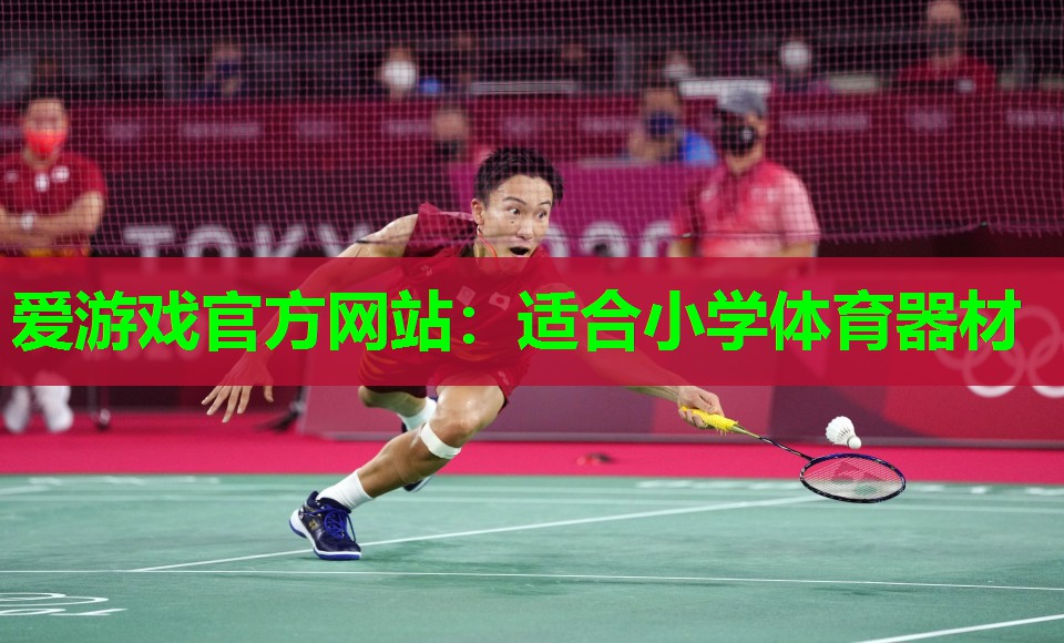 爱游戏官方网站：适合小学体育器材