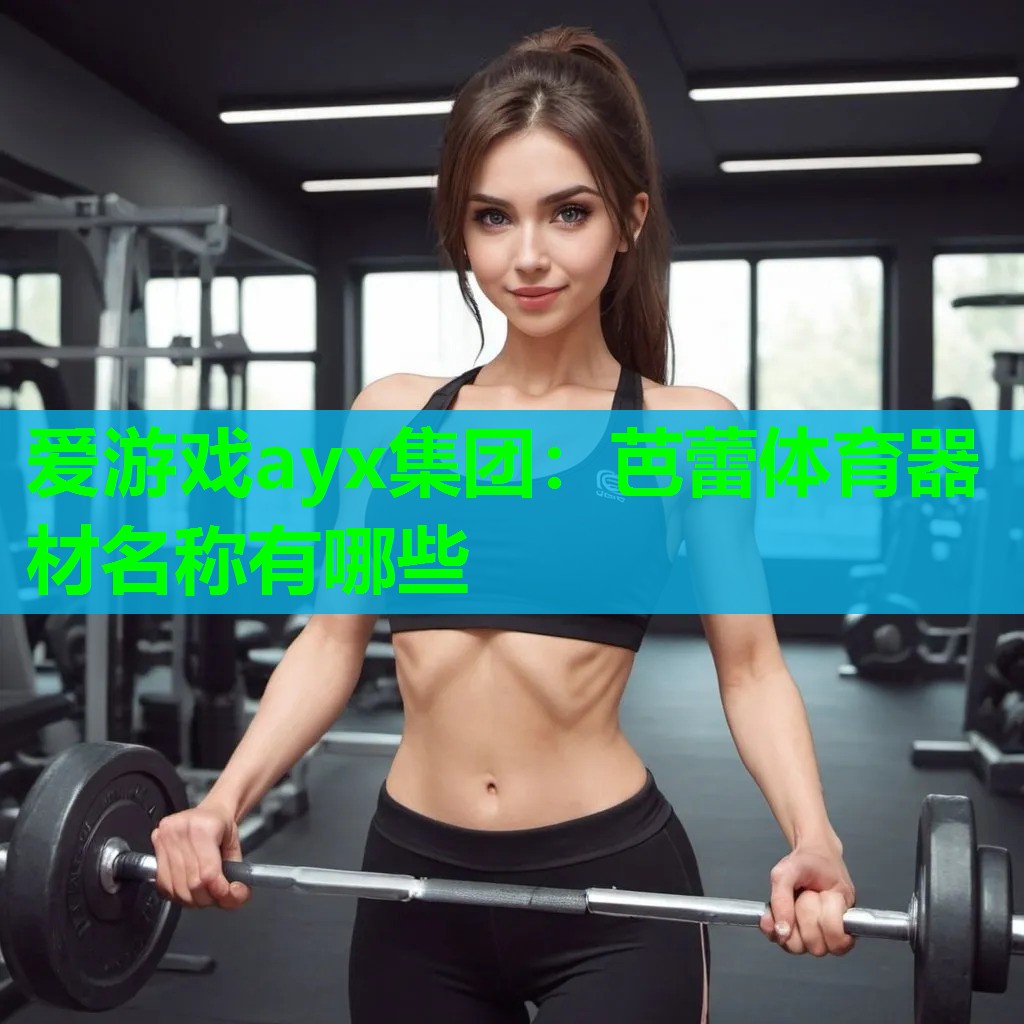 爱游戏ayx集团：芭蕾体育器材名称有哪些