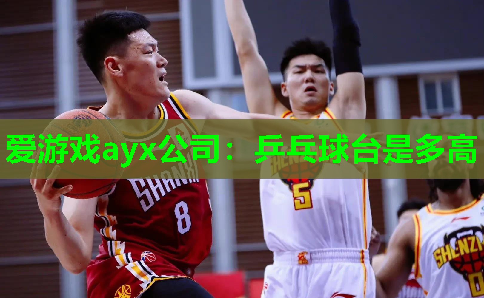 爱游戏ayx公司：乒乓球台是多高