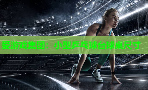 爱游戏集团：小型乒乓球台球桌尺寸