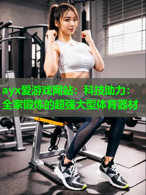 ayx爱游戏网站：科技助力：全家锻炼的超强大型体育器材