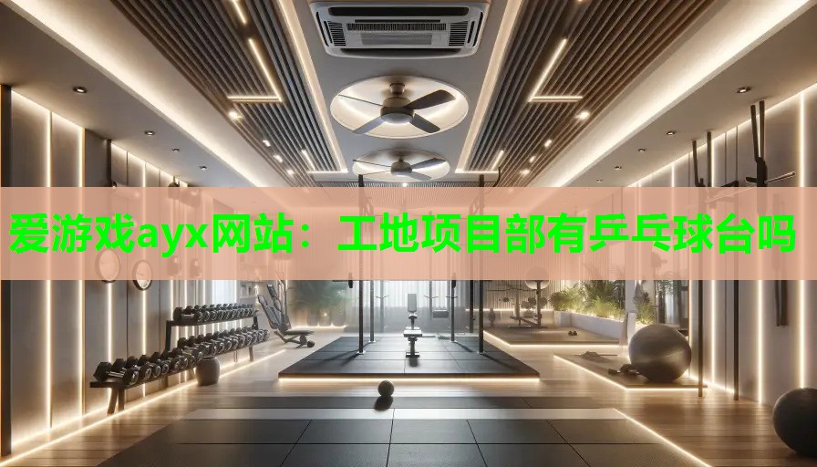 工地项目部有乒乓球台吗