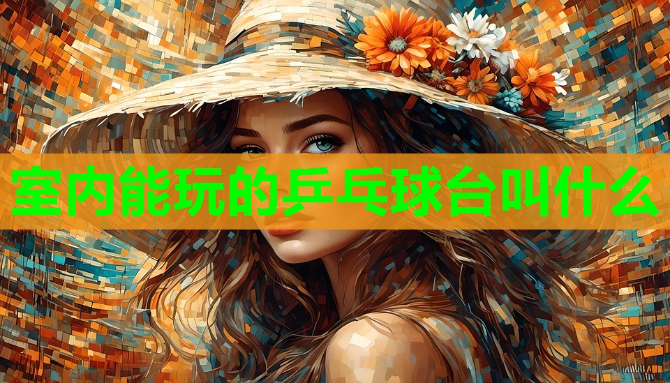 室内能玩的乒乓球台叫什么