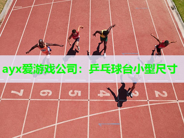 乒乓球台小型尺寸