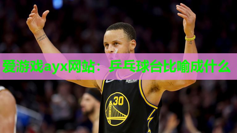 乒乓球台比喻成什么
