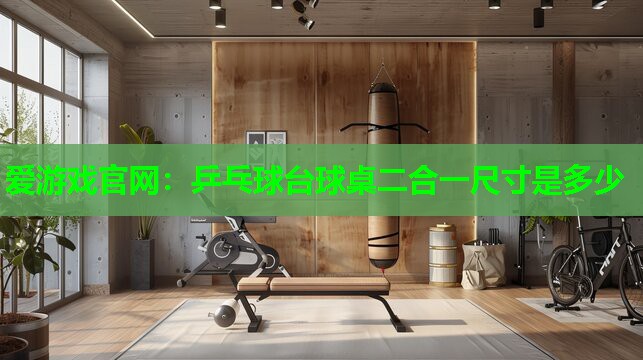 乒乓球台球桌二合一尺寸是多少