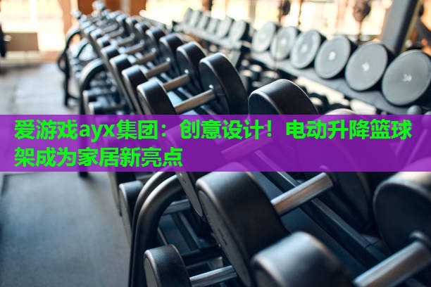 创意设计！电动升降篮球架成为家居新亮点
