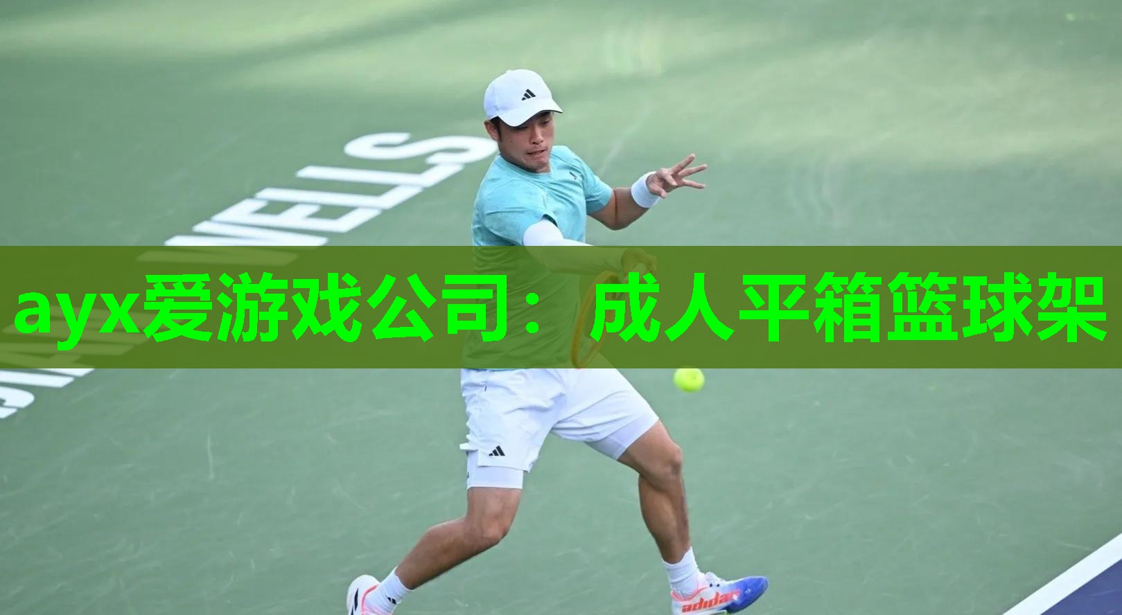 成人平箱篮球架