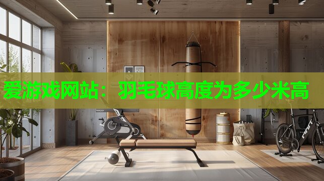 羽毛球高度为多少米高