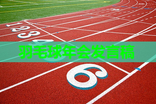 羽毛球年会发言稿