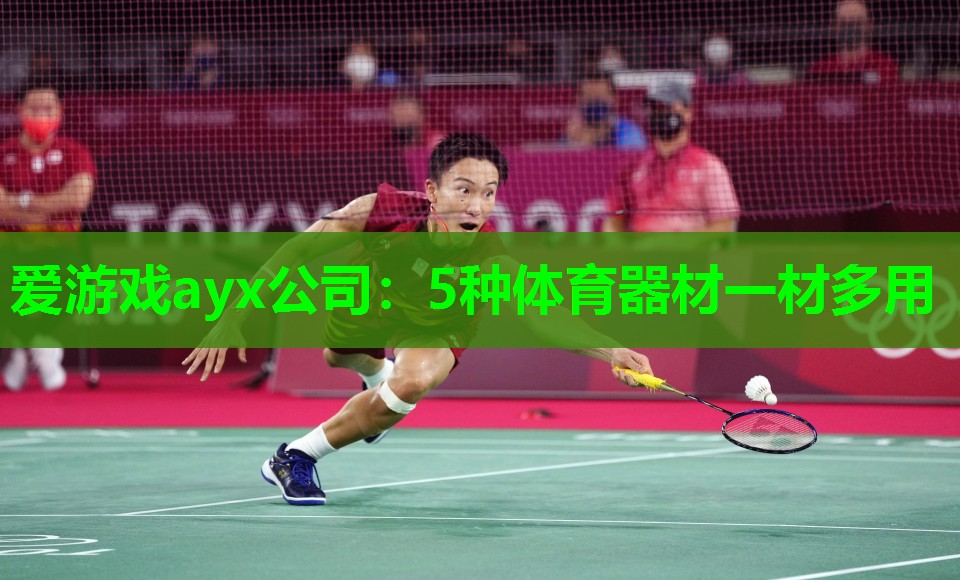 5种体育器材一材多用