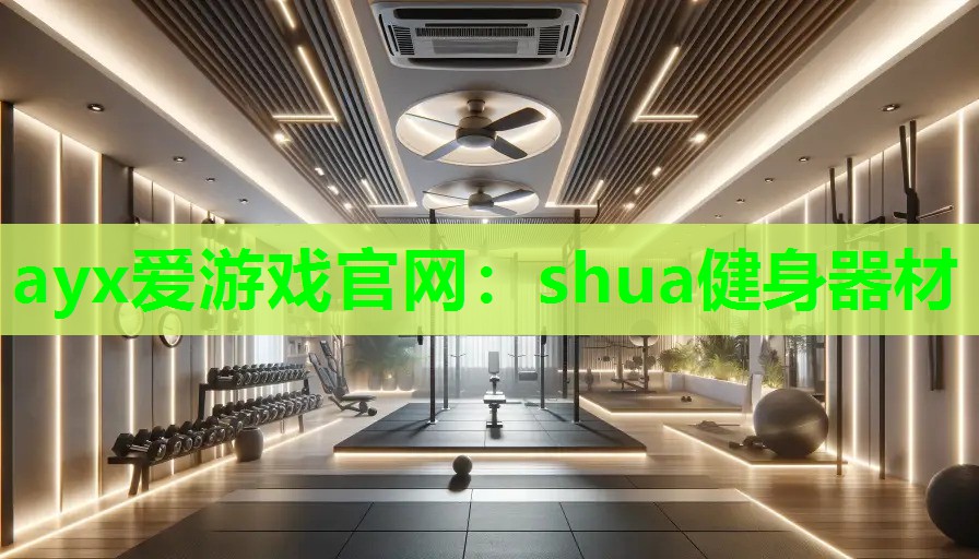 shua健身器材