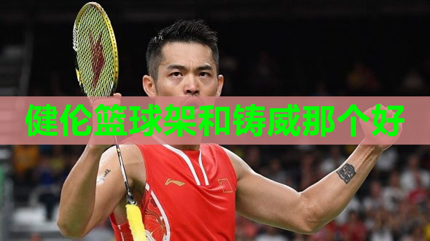 健伦篮球架和铸威那个好
