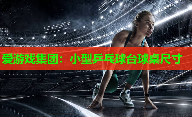 小型乒乓球台球桌尺寸