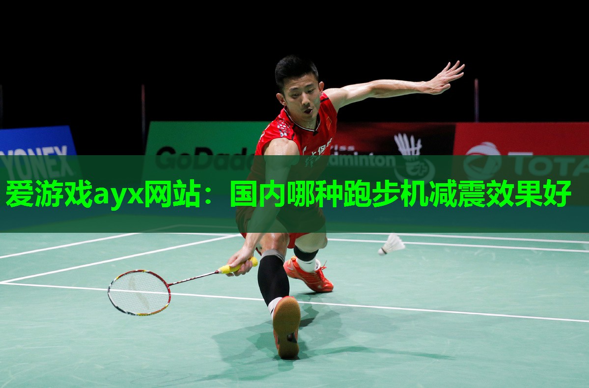 国内哪种跑步机减震效果好